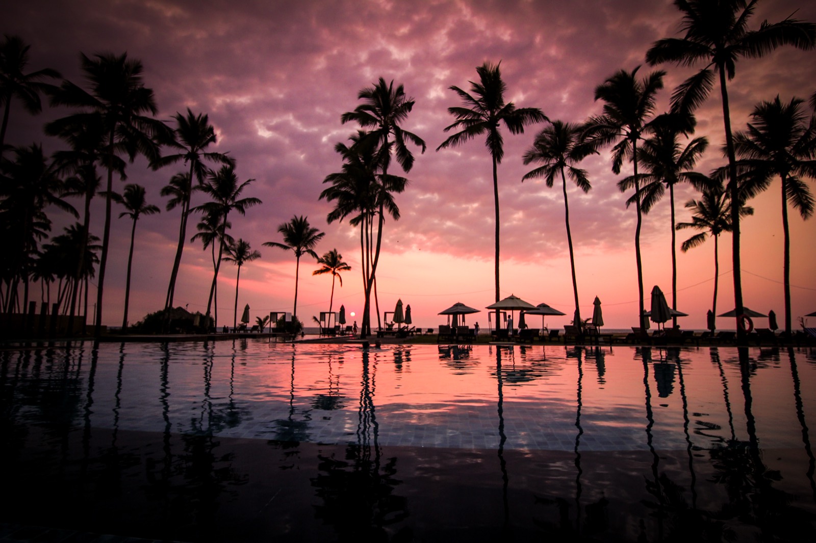 A palm-fringed tropical resort pool — the kind of stay you can book through timeshare rentals without owning one