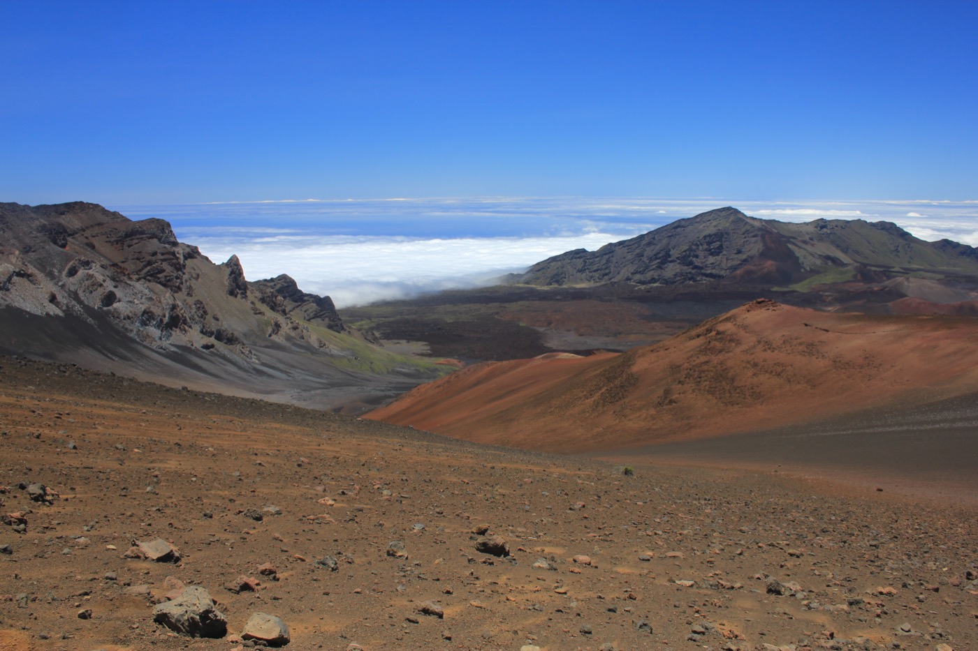 The volcanic crater of Haleakala above a layer of clouds on Maui, with red cinder cones stretching to the horizon