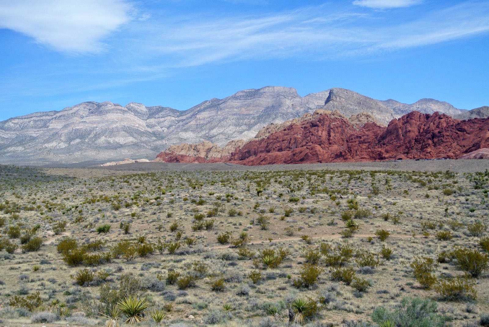 Red sandstone formations and desert under a blue sky at Red Rock Canyon, just west of Centennial Hills, Las Vegas